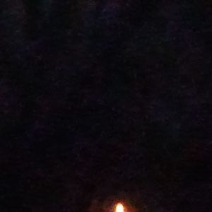 Meet your Posher, Tommy